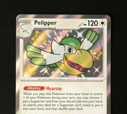 Pokemon Card TCG - Pelipper 204/091 - Paldean Fates - Baby Shiny Rare - NM ⭐ - Image 2