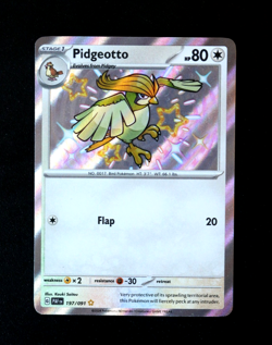 Pokemon Card TCG - Pidgeotto 197/091 - Paldean Fates - Baby Shiny Rare - NM ⭐ - Image 1