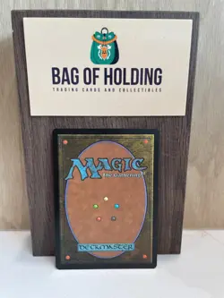 Island - 0263 - Borderless -Edge of Eternities -NM - Magic - MTG - Image 2