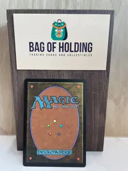 Plains - 0262 - Borderless -Edge of Eternities -NM - Magic - MTG - Image 2
