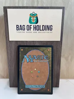 Plains - 0262 - FOIL - Borderless -Edge of Eternities -NM - Magic - MTG - Image 2