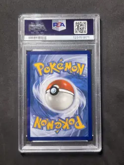 2024 Pokemon TCG Raging Bolt ex Special Illustration Rare PSA 10 - Image 2