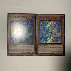 1x Mulcharmy Purulia INFO-EN027 Secret Rare 1st Ed LP Yugioh - Image 1