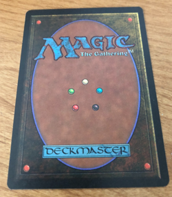 Season of the Witch MTG The Dark: NM - Image 2