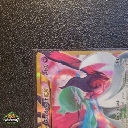 Pokemon Card - Gardevoir EX 116/114 Steam Siege Full Art Secret Rare Gold - M/NM - Image 5