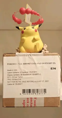 Pokemon TCG Evolving Skies Booster Box Case | Factory Sealed First 1st Print - Image 1