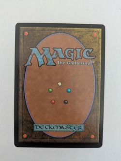 Chinese Lady Sun Portal 3K MTG NM Free shipping with tracking - Image 2