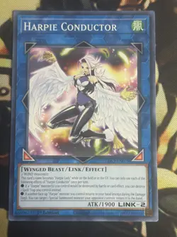 Yugioh: Harpie Conductor - LDS2-EN078 - Common - 1st Edition - NM - Image 1