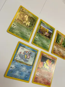 1st Edition Pokemon Neo Genesis Lot Cyndaquil Shuckle Bayleef Totodile Sudowoodo - Image 2