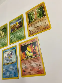 1st Edition Pokemon Neo Genesis Lot Cyndaquil Shuckle Bayleef Totodile Sudowoodo - Image 4