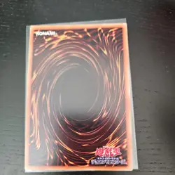 Duelist Alliance PAC1-JP044 Normal Parallel Rare Yugioh Japanese NM - Image 2