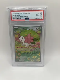 Pokemon Dri-Destined Rivals Illustration Rare #185 Shaymin PSA 10 - Image 1