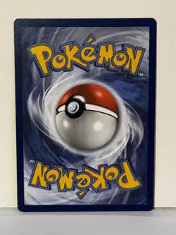 Zorua Reverse Holo 102/203 SWSH07: Evolving Skies NM Pokemon Fast Ship - Image 2