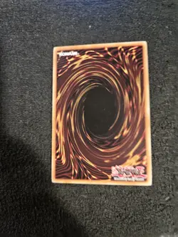 Yugioh! MP The Lady in Wight - GLD5-EN022 - Common - Image 2