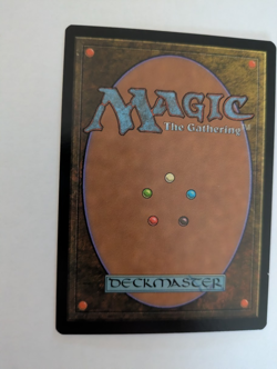 Capture of Jingzhou Portal 3K MTG NM Free shipping with tracking - Image 2