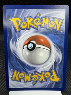 Fidough SVP069 - Shiny Holo - Scarlet & Violet Promo Pokemon Card MINT - Image 2