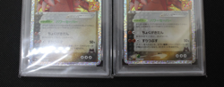 PSA 10 Team Magma's Groudon 011/025 25th Anniversary Pokemon Card Set Of 2 Japan - Image 3