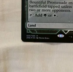 Bountiful Promenade (Extended Art, Foil) Commander Legends - Image 4