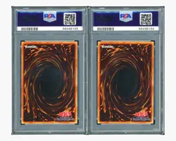 Yu-Gi-Oh PSA10*2 Toon DK. Magician Girl 2000 G602 GB Duel Monsters Promo: S6 JPN - Image 2
