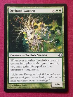 Magic The Gathering MORNINGTIDE ORCHARD WARDEN green card MTG - Image 1