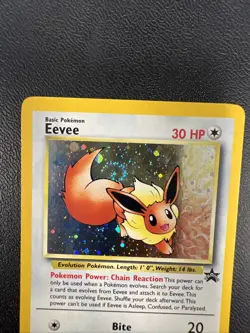 Eevee #11 Promo Black Star Vintage Pokemon Card WOTC Lp - Image 3