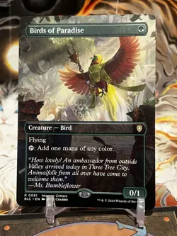 MTG | Birds of Paradise (Borderless) [Bloomburrow] NF - Image 1