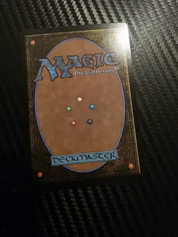 MTG Final Fantasy Traveling Chocobo Borderless Foil FIN0406 Japanese Edition - Image 2