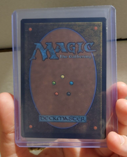 MTG - Sword of Feast and Famine - Universes Beyond: Assassins Creed - #99 - Image 3