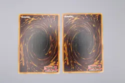 Yu-Gi-Oh! Return From The Different Dimension EP1-EN008 x2 - Image 3