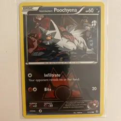 Pokemon TCG Team Magma's Poochyena Double Crisis Regular Card 17/34 - Image 1