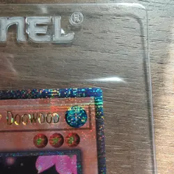 YuGiOh Ghost Sister & Spooky Dogwood Quarter Century Secret Rare QCR RA03-EN020 - Image 5