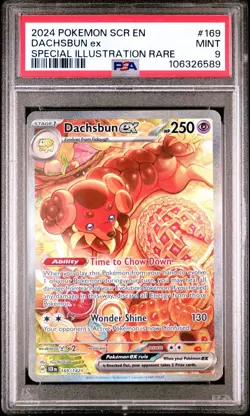 Pokemon Stellar Crown - DACHSBUN EX - SPECIAL ILLUSTRATION RARE 169/142 - PSA 9 - Image 1