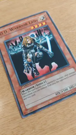 1st Edition D. D. Warrior Lady SDWS-EN009 YuGiOh card (LP) - Image 1