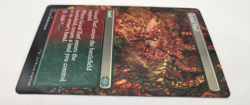 Magic the Gathering MTG 2X2 Gruul Turf 407 extended art Foil Near Mint-LP - Image 4