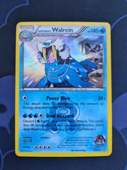 Team Aqua's Walrien 5/34 Pokemon Card Holo Rare Pokemon TCG XY Double Crisis NM - Image 1