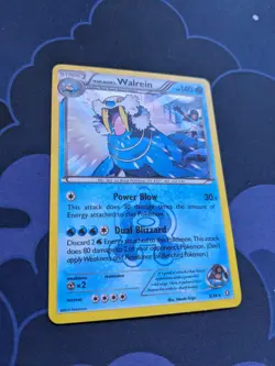 Team Aqua's Walrien 5/34 Pokemon Card Holo Rare Pokemon TCG XY Double Crisis NM - Image 3