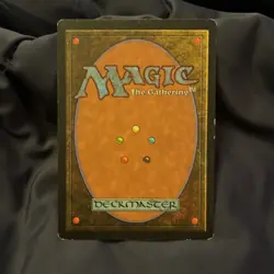 Natural Order (Visions) LP MTG - Image 2