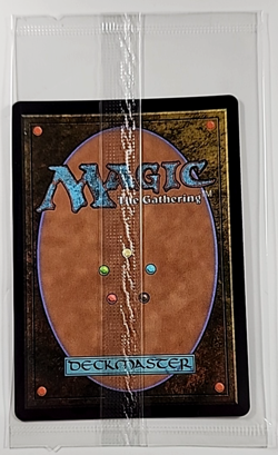 2022 MTG Magic the Gathering Secret Lair Foil #664 Hibernation Sliver *Sealed* - Image 2