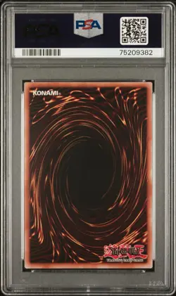 2002 Yu-Gi-Oh! - Dark Magician #LOB-005 - PSA 8 - Image 2