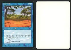 ***FBB Japanese Phantasmal Terrain Artist Proof Signed*** MTG 4th Dameon Willich - Image 1