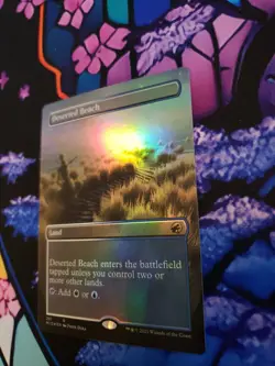 Deserted Beach Borderless Foil [Innistrad: Midnight Hunt] MTG MID #281 ~NM - Image 3