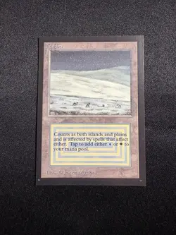 Magic the Gathering Tundra Collectors Edition Dual Land Island/Plains - Image 1