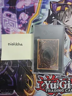 Black Rose Dragon (Ghost Rare) CSOC-EN039 SGC 9 NOT PSA - Image 2