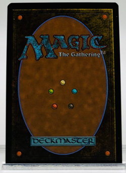 MTG Unholy Annex Ritual Chamber - Borderless Foil - Duskmourn #339 - Near Mint - Image 2