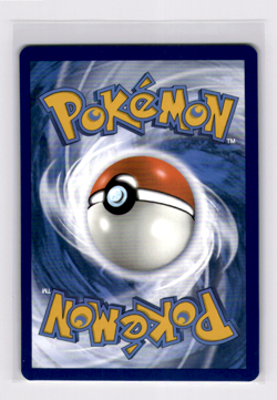 Galarian Moltres SWSH284 SWSH: Sword & Shield Promo Cards Holo - Pokemon NM - Image 2
