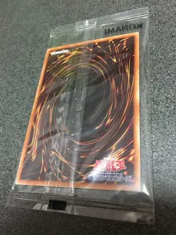 MIRROR FORCE SBPR-JP005 Secret SPECIAL BLUE Ver. Limited Card yugioh Japanese - Image 4