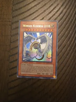 Yu-Gi-Oh! TCG Winged Kuriboh LV10 Duelist Pack 1: Jaden Yuki DP1-EN006 1st.. LP - Image 1