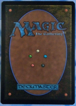 Mithril Coat (Extended Art) (Surge Foil) Universes Beyond: The Lord of the...MTG - Image 2