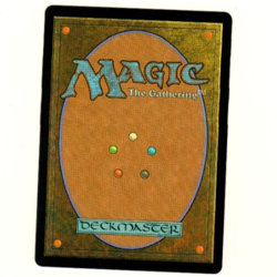 Curiosity Foil Wilds Of Eldraine Magic The Gathering Card - Image 4