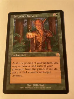 MtG x1 Forgotten Harvest Prophecy - Magic the Gathering Card - Image 1